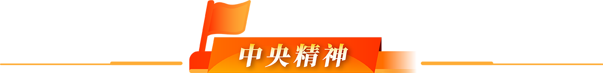 中央精神